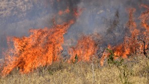 Φωτιά κοντά στον κόμβο της Γυρτώνης 